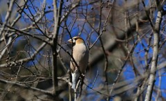 公園だは初めての、しめ