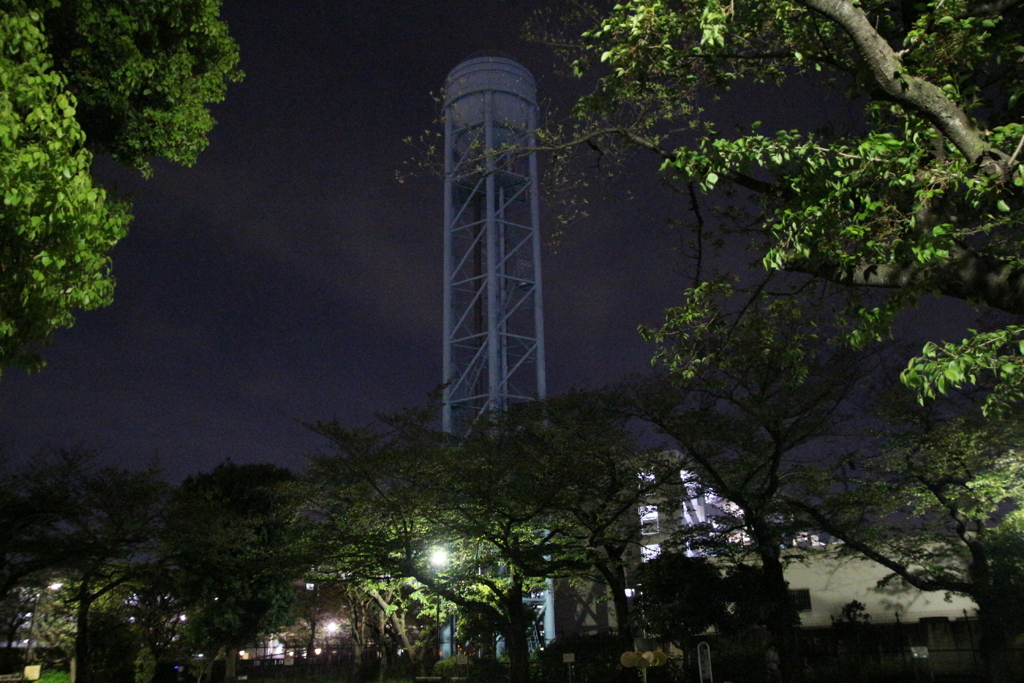 夜の公園
