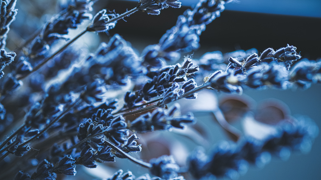 B9D58944-445C-4CEF-B6B6-68648CD85A8B