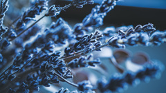 B9D58944-445C-4CEF-B6B6-68648CD85A8B