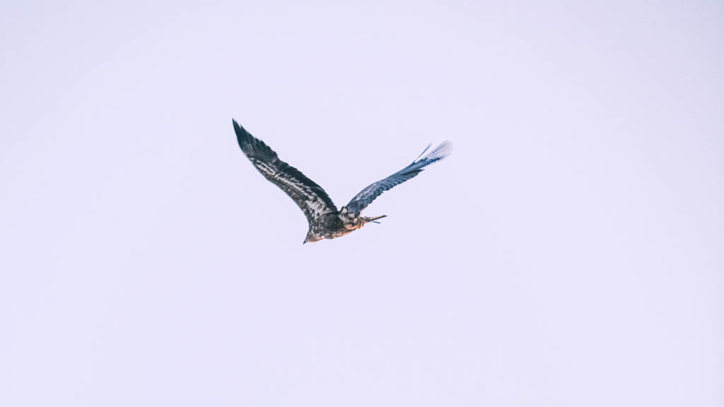 02AD6648-3531-44AA-9134-2CE16E2DF586