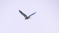 02AD6648-3531-44AA-9134-2CE16E2DF586