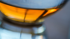 EE60B65F-2369-40CB-B8C1-5820E35B43EE