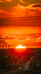 DSCF7636