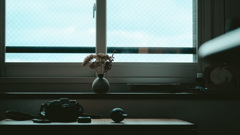 CCAFB70B-C9C5-46E3-9196-E641F879B2A9