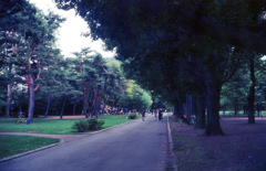 A5C18B2A-E8F7-4893-A038-393F666B289F