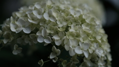D2FA2831-B1EC-4249-B4B1-4CBAC16FB9E6