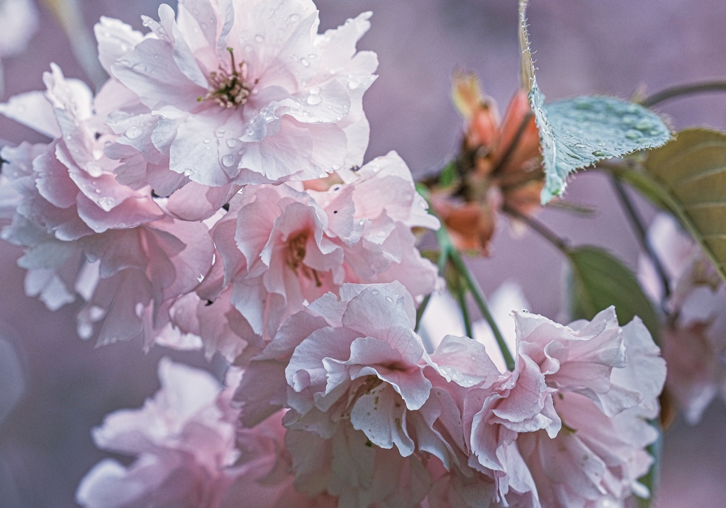 E8648999-AD93-4F5E-A6EF-7B356725B658