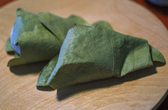 583D4316-FAC6-4C9D-8B62-06C7CA597BA6