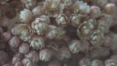 821F8673-7E66-45B6-80B0-39EA2D9F7A34