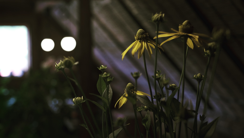 D48A2A17-DA9B-4F5A-9602-407D3798230D