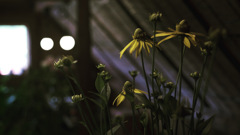 D48A2A17-DA9B-4F5A-9602-407D3798230D