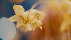 DDF9F298-C300-4B7A-8E44-AC24ED73F1DF