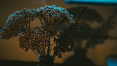 33FB21F6-4052-40B9-8E6A-B583B35257D6