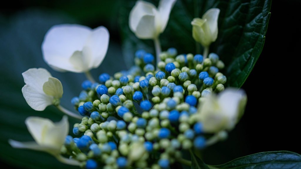 B465498D-7EB0-415A-935F-C4E12F9625CB