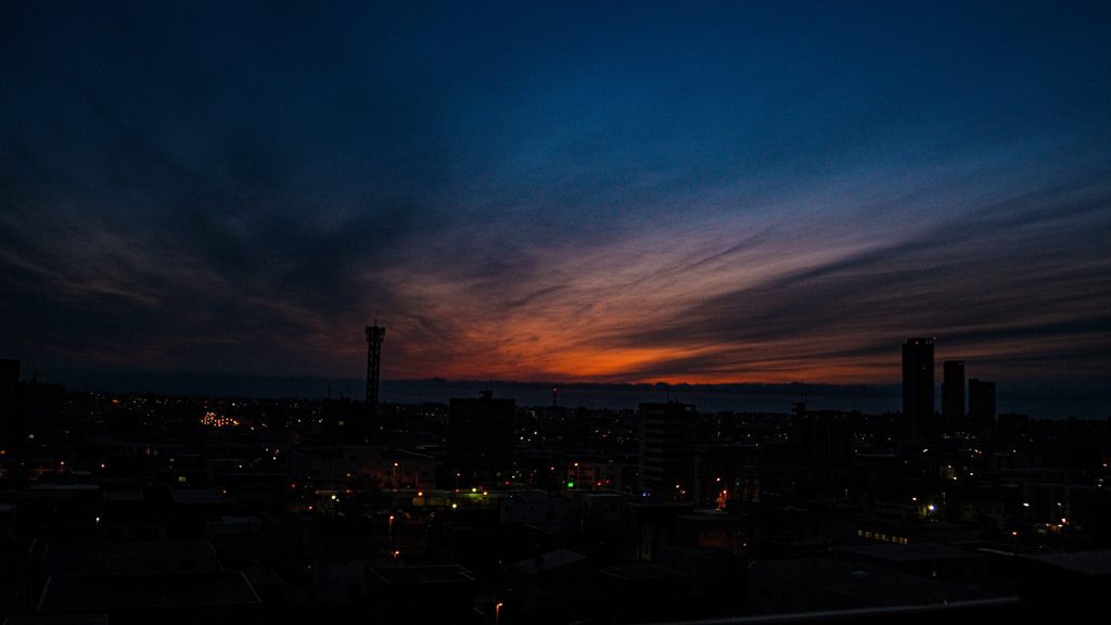 flektogon20mmf2.8
