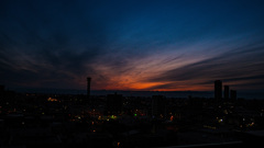 flektogon20mmf2.8