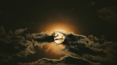 EDBE00CC-AA7A-405A-8D10-2DDEAB27DAC9