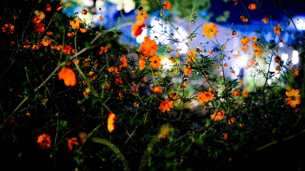 6D73264A-0409-4C85-8120-584E9ED9C975