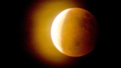 85E8E948-11AD-4AA4-B611-7E1C8F9EFDEA