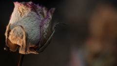 8C3044F7-7BB2-4E12-A6D1-9460CEDC52FD