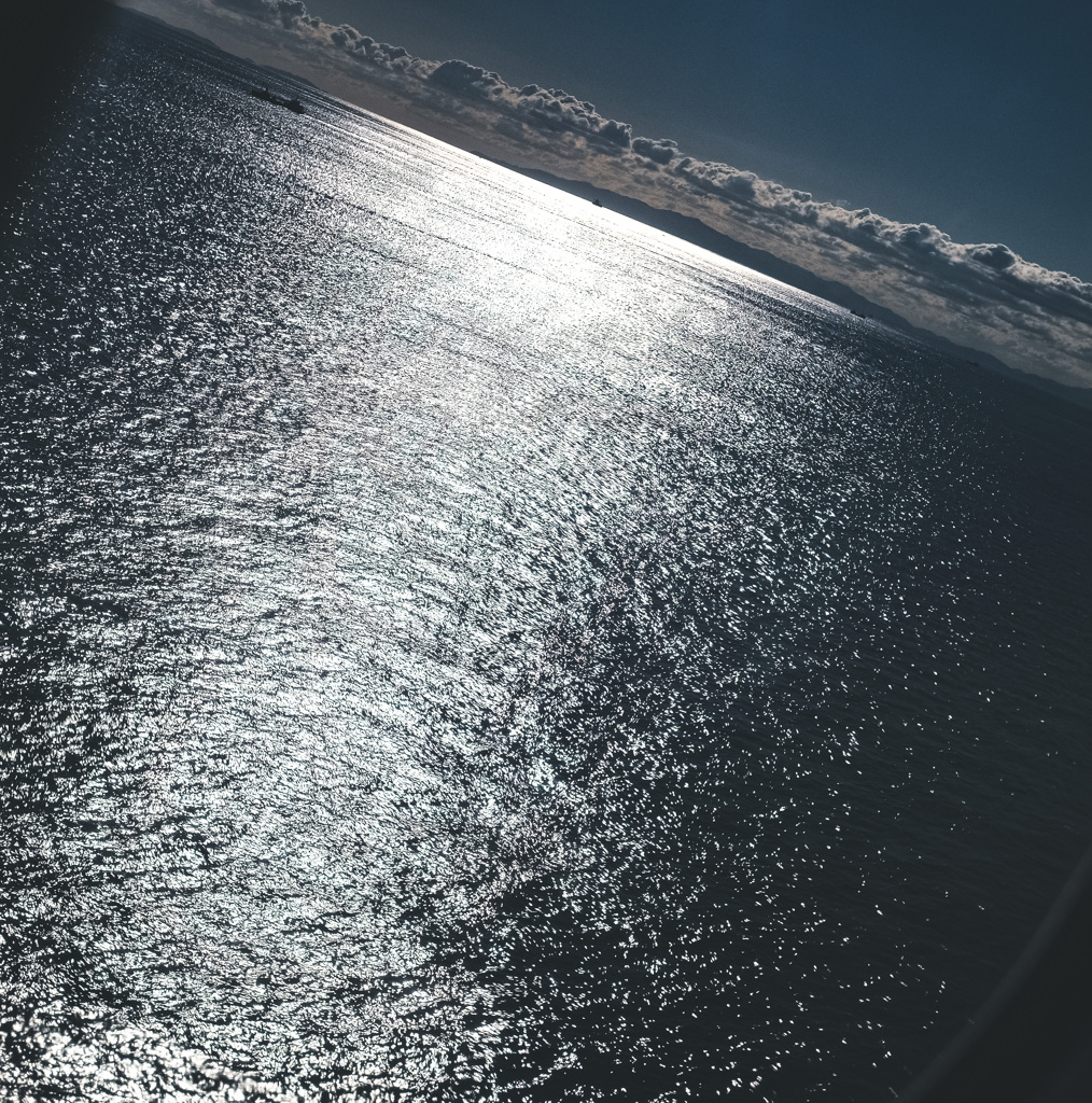 43FA7B2B-E5EB-4397-921F-6941308F0919