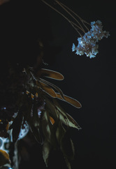 DFF2AD82-D6F3-422C-8DF7-D62F7E8D6CB2