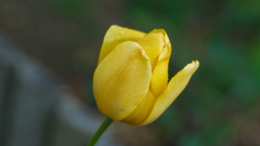 479F11B5-A590-4D7E-A8C8-9AF90950F497