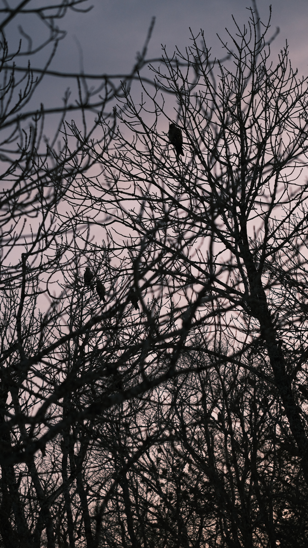 4FBAB21F-C86C-4385-AF5A-6DB7B572245D