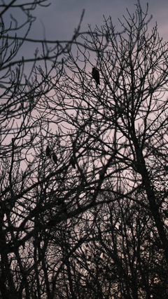 4FBAB21F-C86C-4385-AF5A-6DB7B572245D