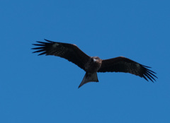 E1123AD0-D1E0-4445-A9ED-264B67508B3D