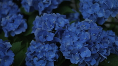 4A29C164-06F4-49D5-9A30-41637BB2226E