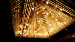 23ECBE74-8589-40C7-B9E6-F31062729AE2