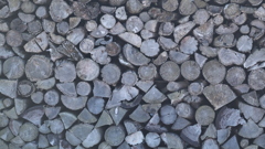 E14F367B-1475-4FA5-A329-952157F9D104