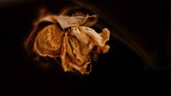 C6B07865-1AD1-49DB-8877-4849C5930FC5