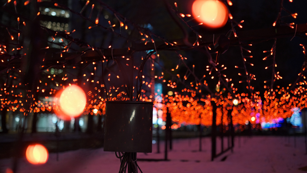 AA259E9F-C459-4AC6-9D0B-E7C85BC65E00