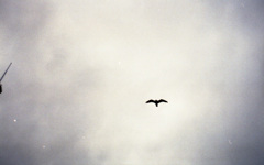 3B98A941-19DC-4835-B3CC-6D048229D965