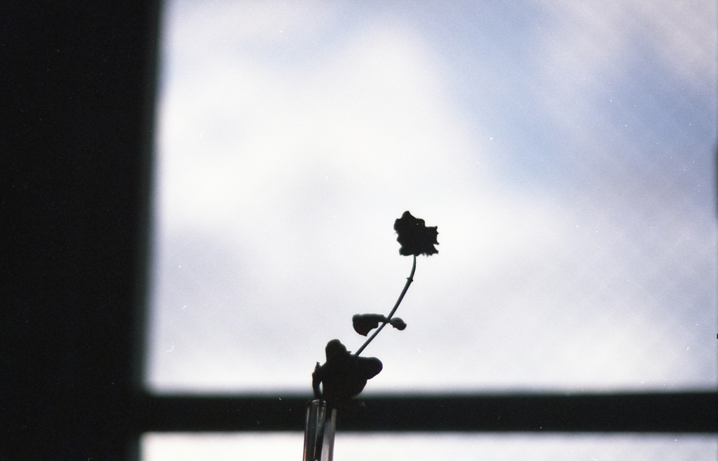 EBF8A6B3-5AAA-446E-9209-F0EAB0F3C4B4