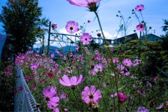 BD1207D5-A2D8-4196-A5A6-C697803892F7