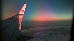 F8FAB38F-988D-4FD6-82C1-2BCEC34499B3