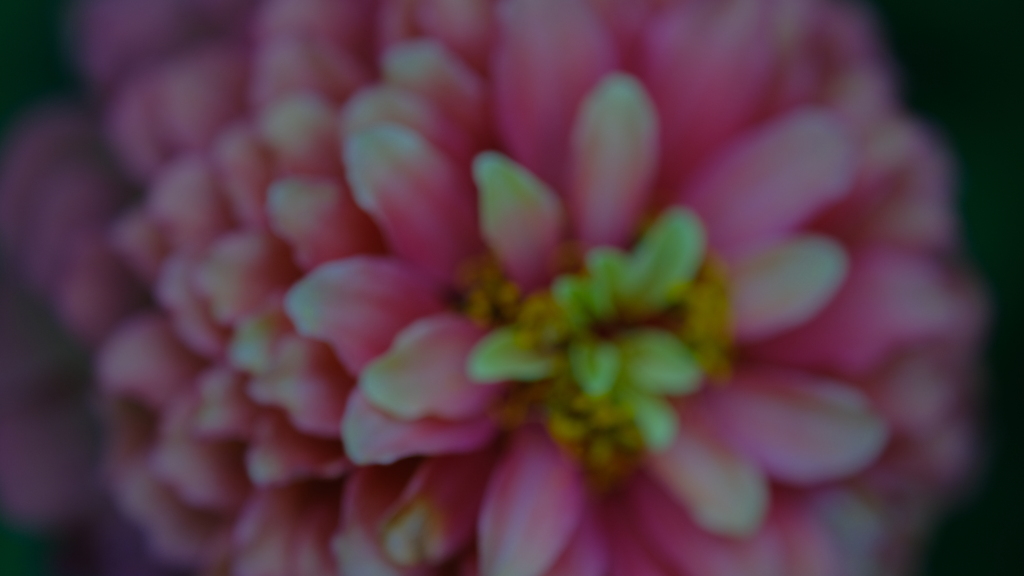 53DB8C56-DF61-41FE-9C57-83384A99DC14