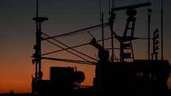 CBD7985A-F5D0-4EBA-99D4-A814A3856546