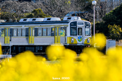 487DB9E6-8733-4B56-815A-173855A8EA6F