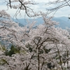 群馬県藤岡市　桜山公園