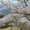 群馬県藤岡市　桜山公園