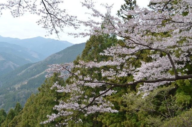 群馬県藤岡市　桜山公園