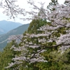 群馬県藤岡市　桜山公園