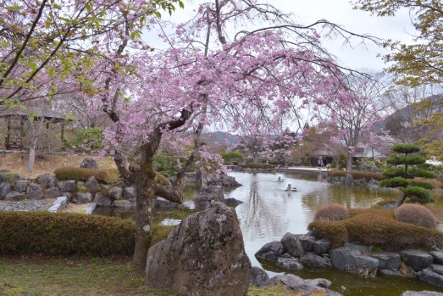 群馬県藤岡市　桜山公園