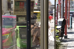 今日は浅草で11時