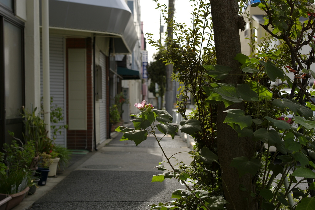 今日は京島で9時